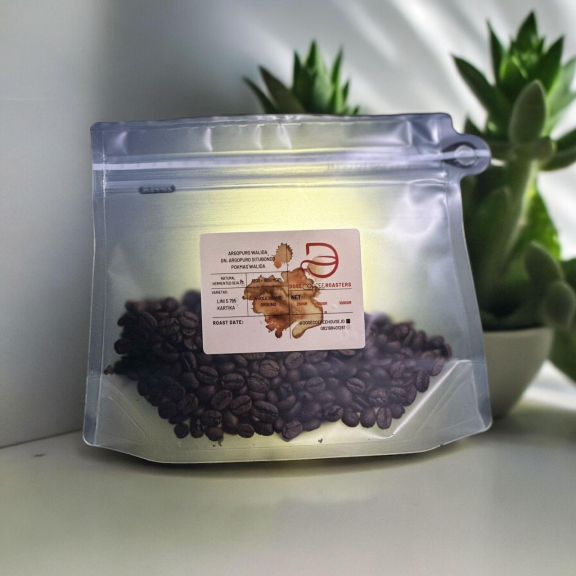 Kopi aren