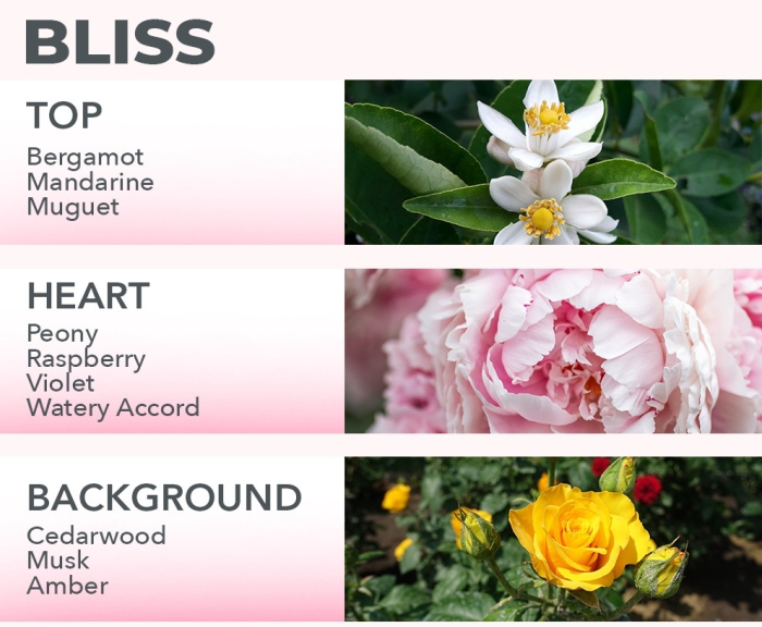 Parfum EDT Wanita Wardah Scentsation Eau De Toilette 35 ml Bliss