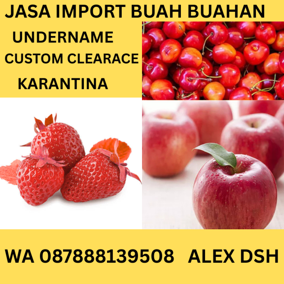 jasa import barang 