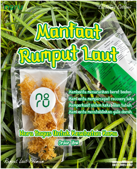 NORU SEAWEED