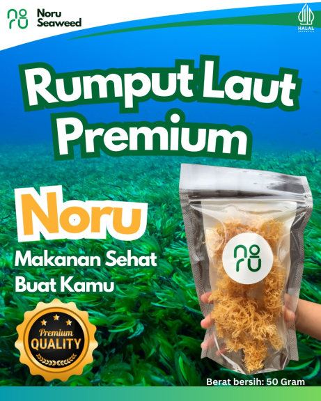 NORU SEAWEED