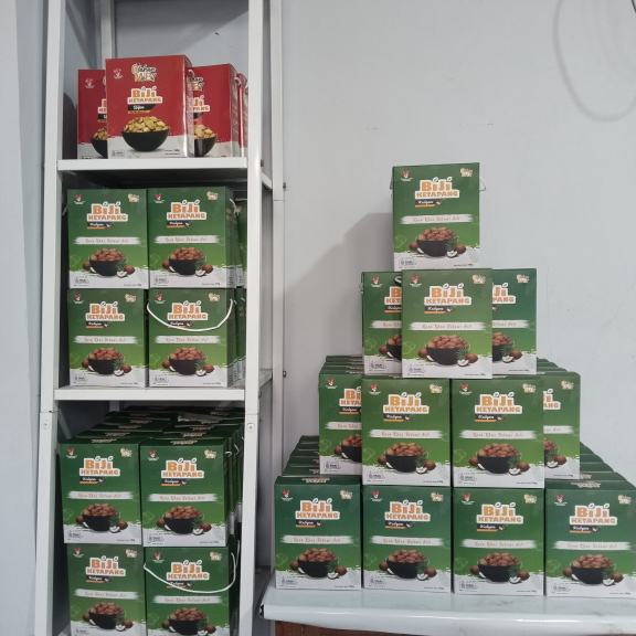 Biji ketapang kelapa