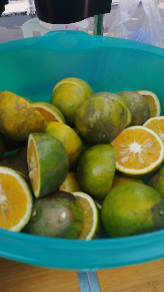 Jeruk Baby Java Malang