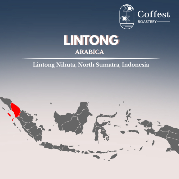 Green Bean Arabika Lintong 1kg
