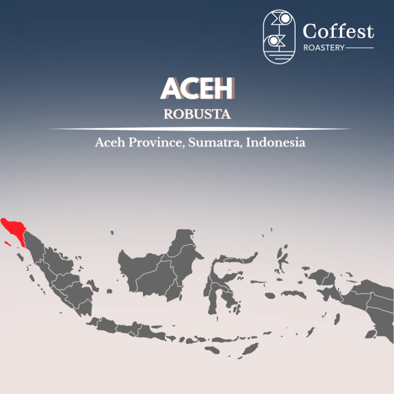 Green Bean Robusta Aceh 1kg