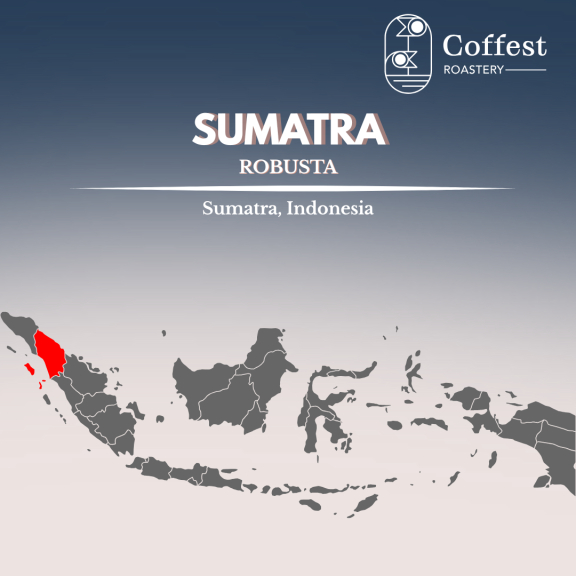 Green Bean Robusta Sumatra 1kg