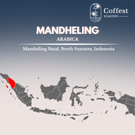 Green Bean Arabika Mandheling 1kg