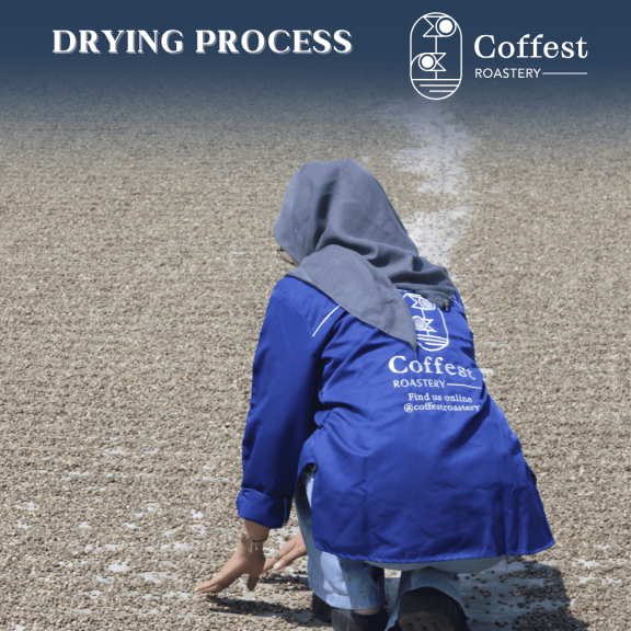 Green Bean Arabika Mandheling 1kg