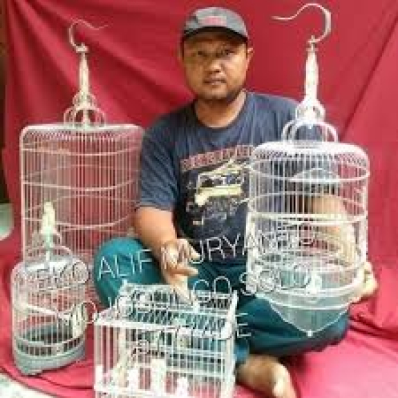 Sangkar dan aquarium