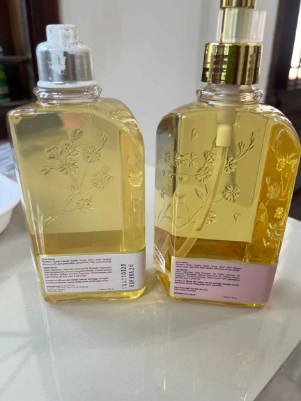 THE SKIN REMEDY