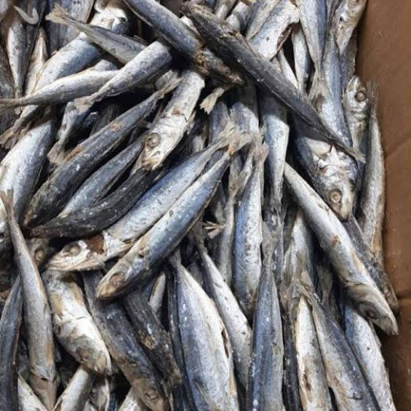 Ikan Kering