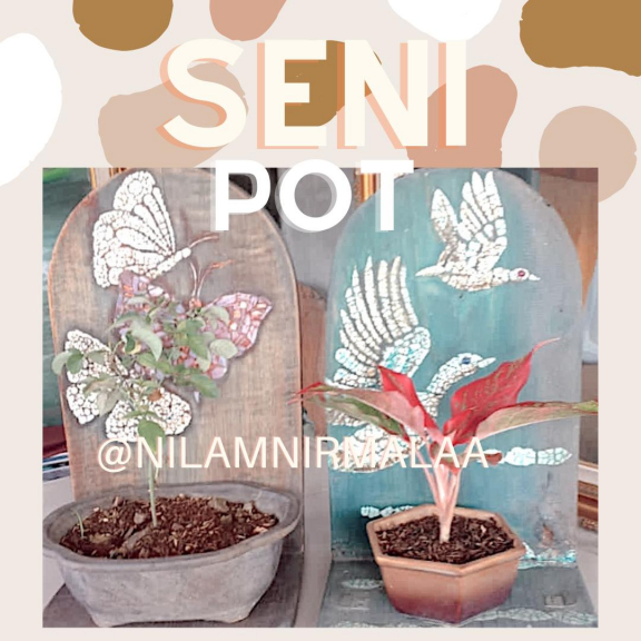 SENI POT