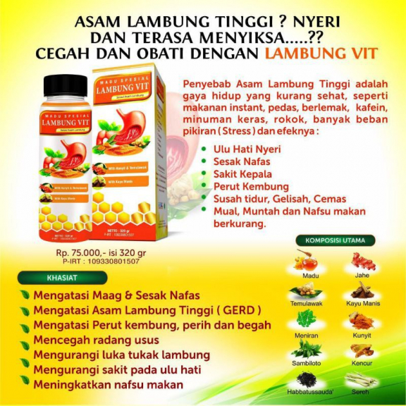 BRAVINA Lambung Vit