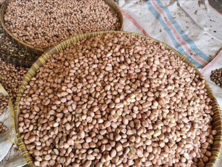 Kacang tanah 