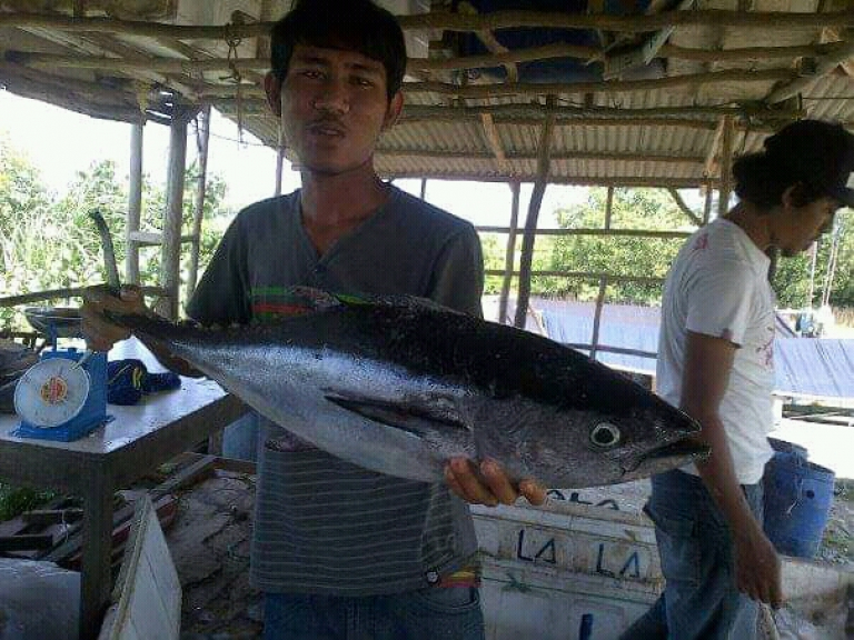 Ikan laut basah dan kering
