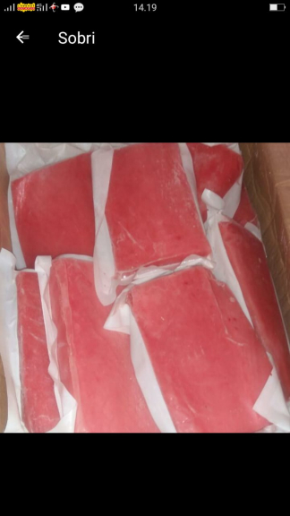 Tuna fillet