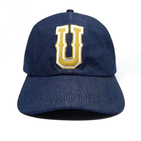 Topi / bucket / beani