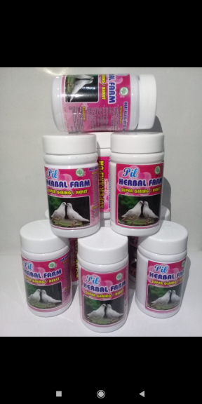 Pil herbal burung