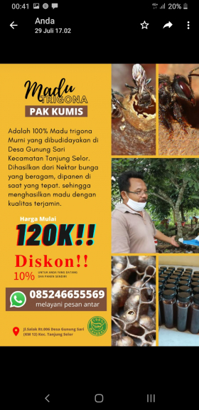 MADU TRIGONA PAK KUMIS