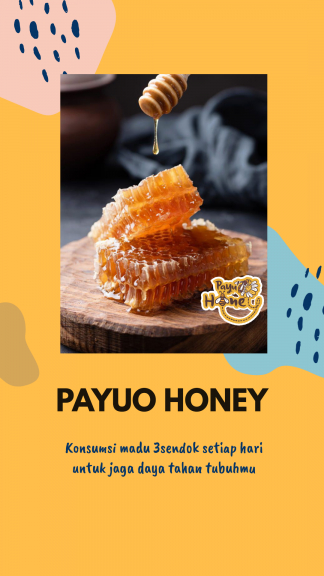Payuo Honey 