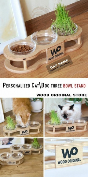 Tempat Tidur Dan Makan Kucing 