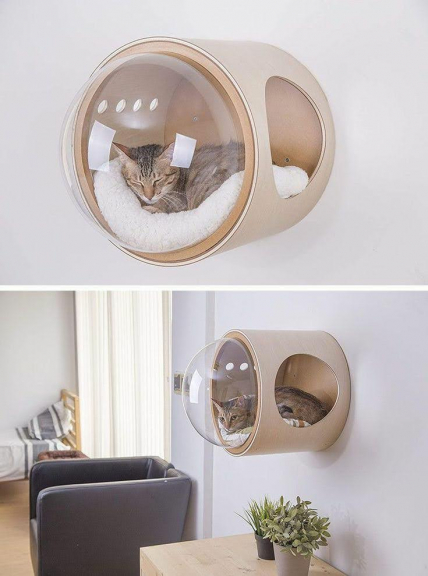 Tempat Tidur Dan Makan Kucing 