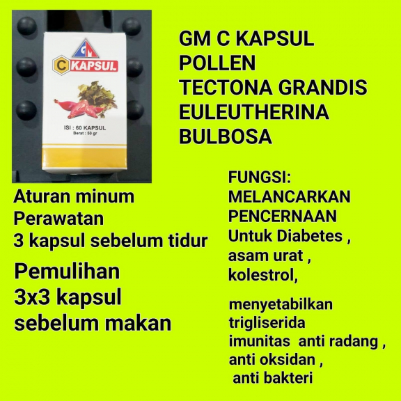 Obat Herbal