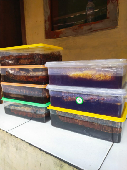 Ramuan herbal china dan jasa real estate