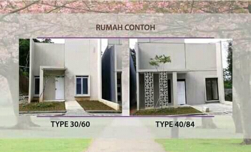 Ramuan herbal china dan jasa real estate