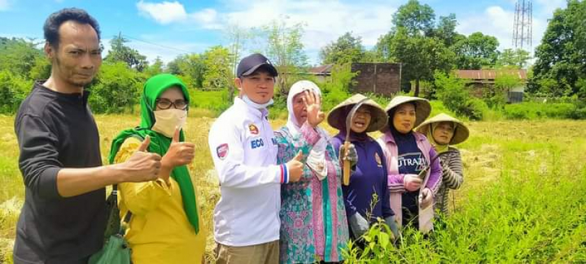 Beras Organik Sumbawa (BOS)