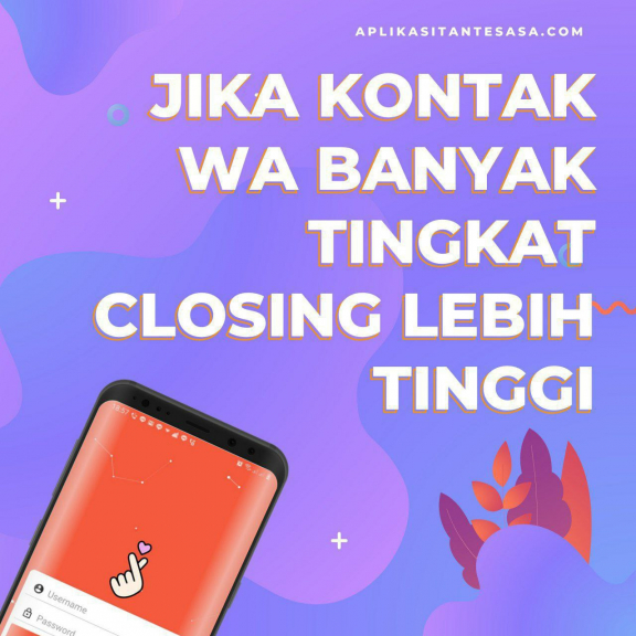 aplikasi tante sasa