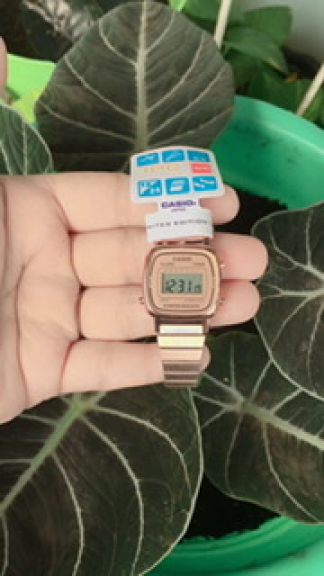 Jam Tangan Casio