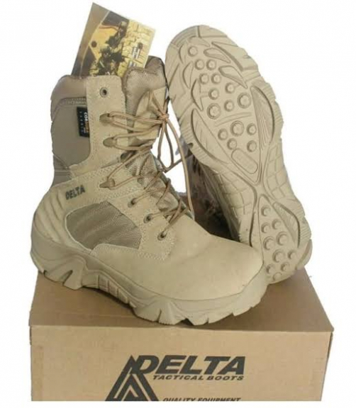 Sepatu delta