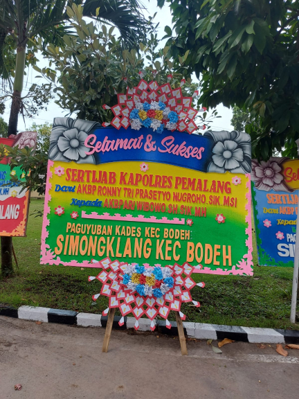 Bunga papan