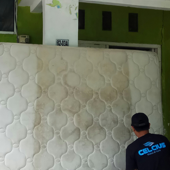 Celcius Clean n Care