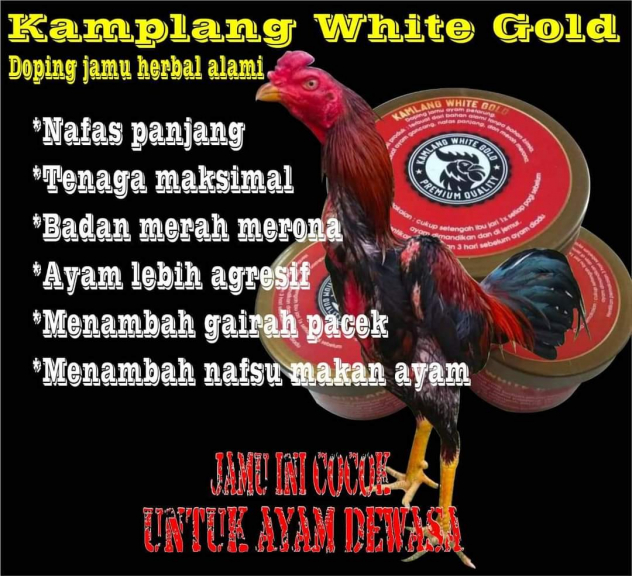 Kamlang White Gold. JAMU RAWATAN HARIAN AYAM 