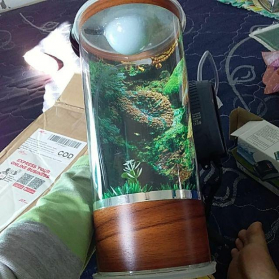 Underwear Agree and akuarium