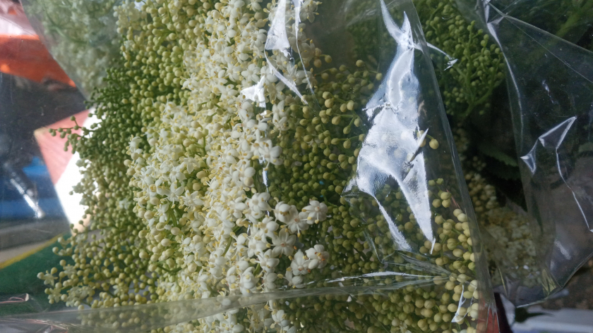 Bunga potong untuk dekorasi