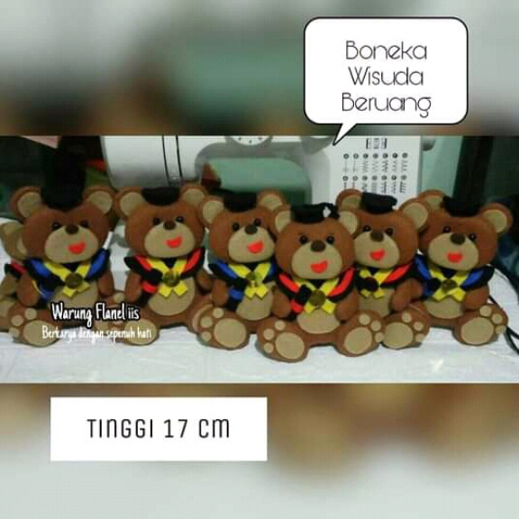 Beruang Wisuda