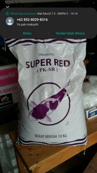 MAKANAN IKAN KOKI DAN KOI MERAH 5MM KEMASAN 500 gram