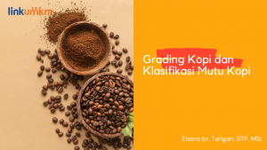 Grading/Klasifikasi Mutu Biji Kopi