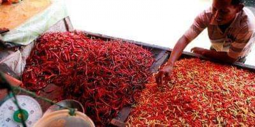 Cabai rawit merah