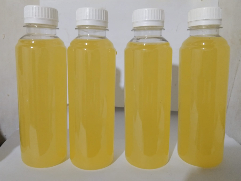 water kefir nanas