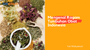 Mengenal Ragam Tumbuhan Obat Indonesia