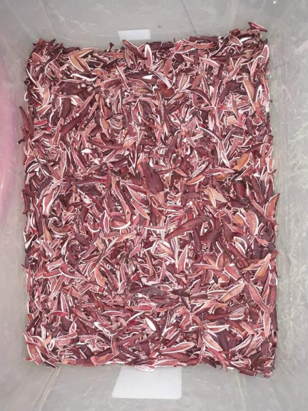 Minuman Celup Bawang Dayak