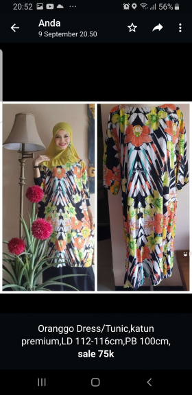 Oranggo Dress / Tunic