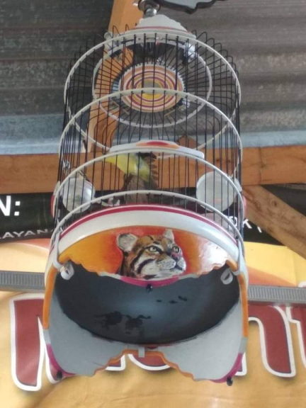 SANGKAR BURUNG ACRILIC