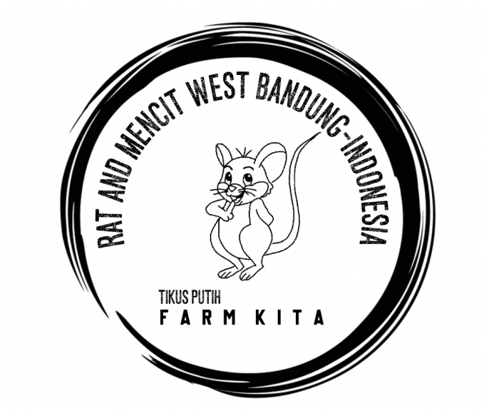Tikus Putih Jenis Rat dan Mencit