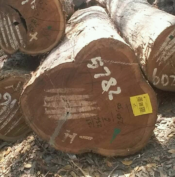 Kusen dan daun pintu kayu jati perhutani 