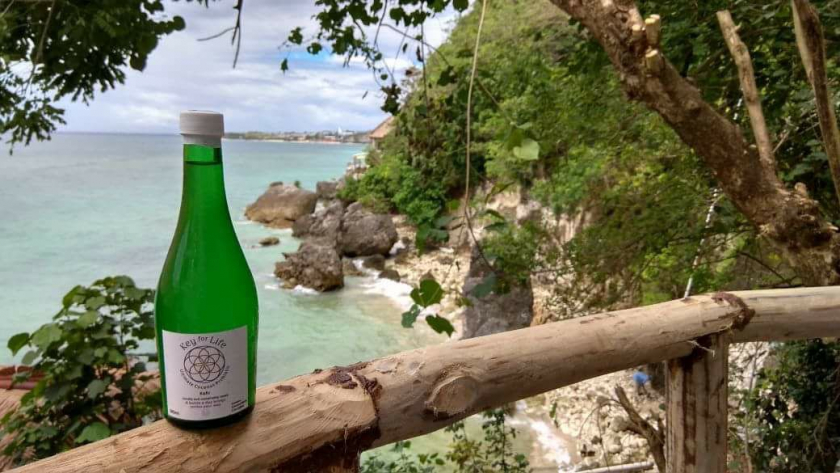 Coconut Kefir / Kelapa Probiotic 